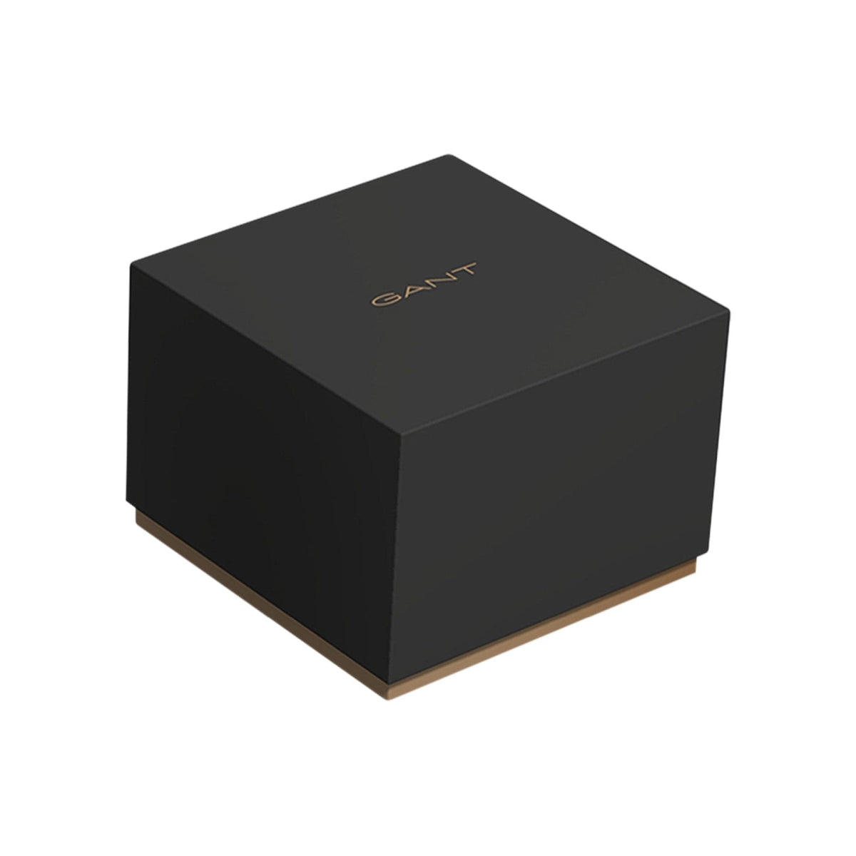 Gant Park Avenue Relógio Homem Chronograph