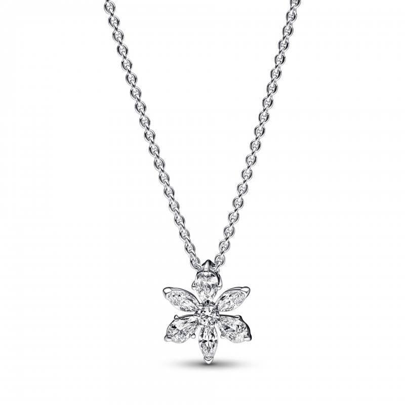 Pandora Sparkling Herbarium Cluster Colar Mulher