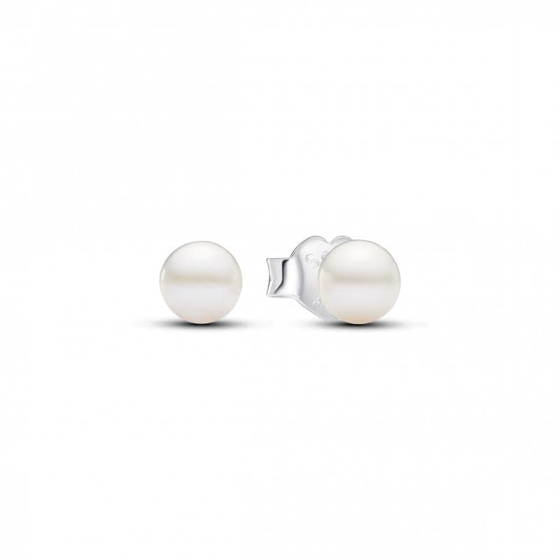 Pandora Timeless  Brincos Mulher